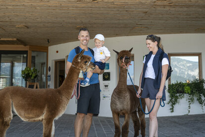 Llama &amp; Alpaca Meet &amp; Greet