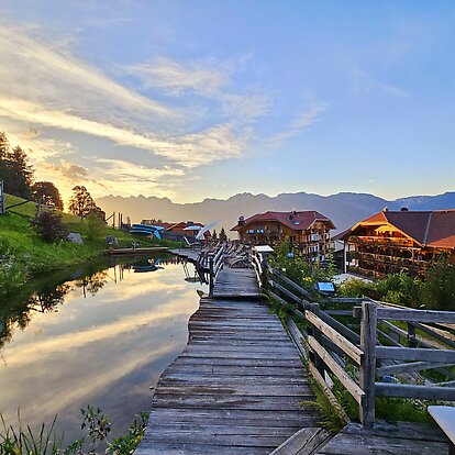 Evening atmosphere at the natural pond